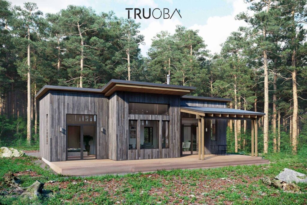972 sqft Rustic Farmhouse-Style 2-Bedroom 1-Bathroom House Plan